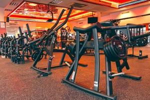 Visogym-2