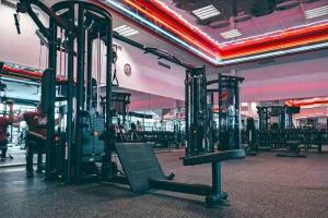 Visogym-3